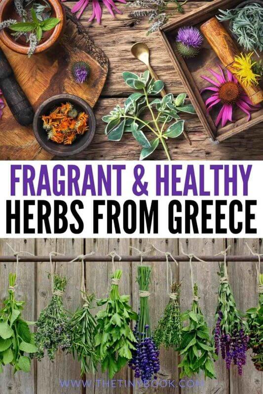 greek herb medicine